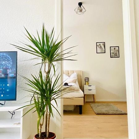 Stilvolles Apartment In Zentraler Lage - Smart-Tv, Queensize-Bett, Altbaustil, Kueche In City-Naehe Эрфурт Экстерьер фото